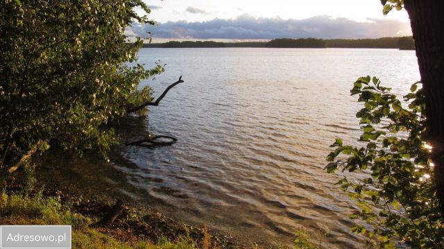 Działka inwestycyjna Łupawsko. Zdjęcie 1
