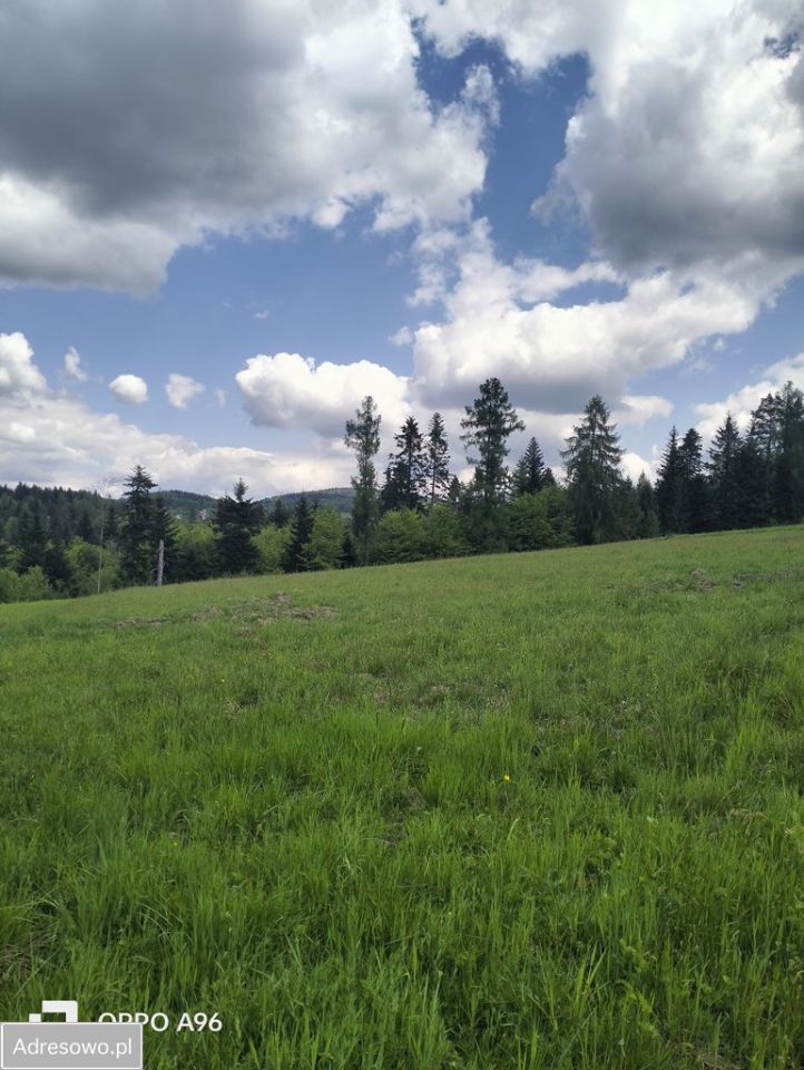 Działka budowlana Dąbrówka. Zdjęcie 6