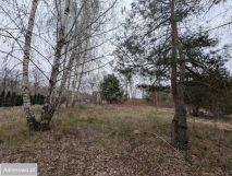 Działka budowlana Adamów-Wieś, ul. Brzozokalska. Zdjęcie 3