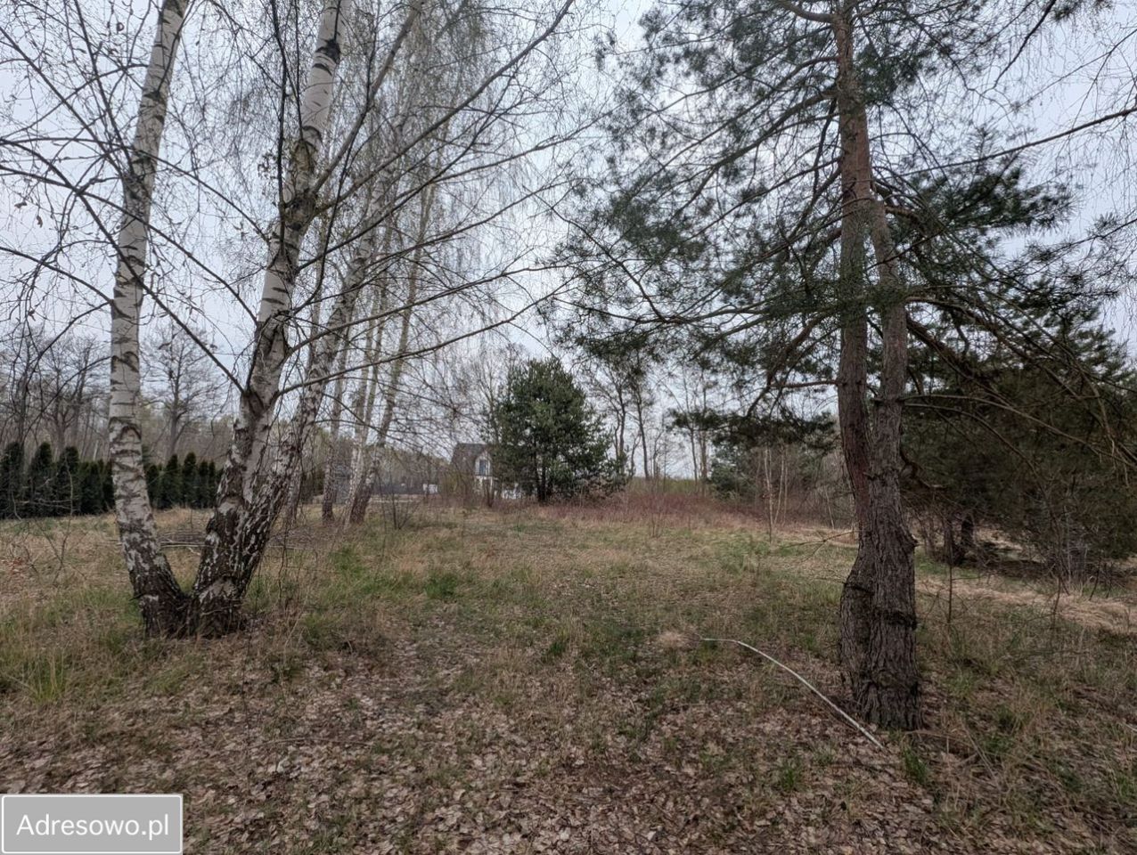 Działka budowlana Adamów-Wieś, ul. Brzozokalska. Zdjęcie 4