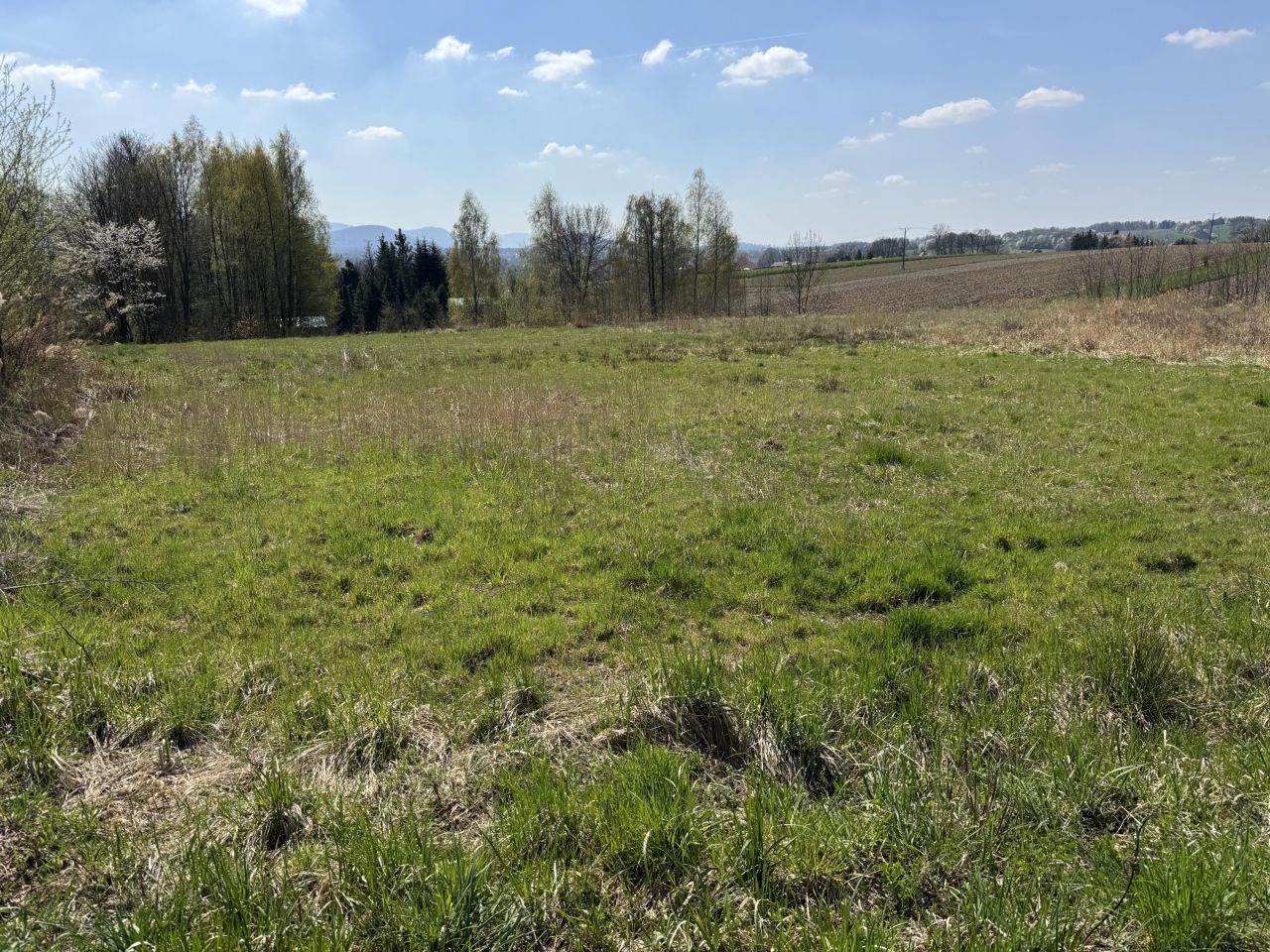 Działka budowlana Jasienica Wygrabowice, ul. Międzyrzecka. Zdjęcie 3