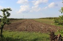 Działka rolna Stare Kichary. Zdjęcie 2