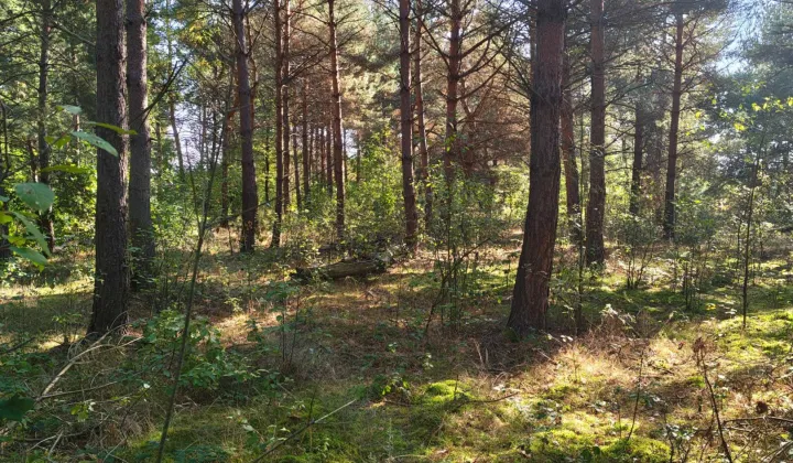 Działka budowlana Manasterz Mielniki