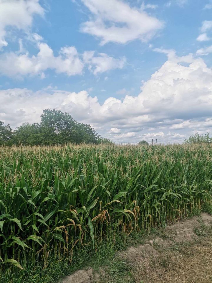 Działka rolno-budowlana Jarosław Krakowska, ul. Krakowska. Zdjęcie 2