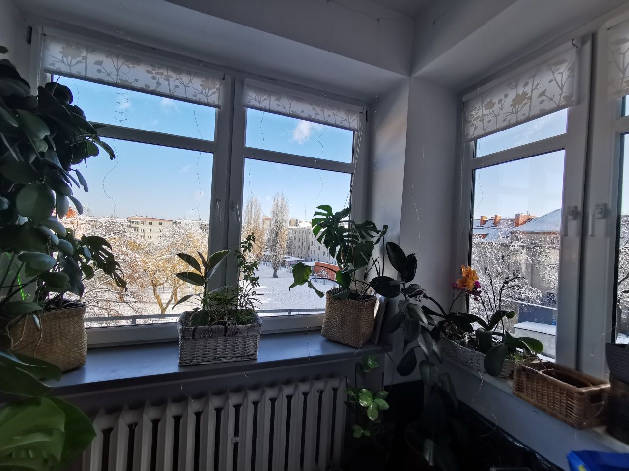 Mieszkanie 2-pokojowe Głogów, ul. Przemysłowa. Zdjęcie 2