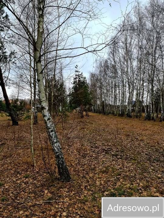 Działka budowlana Plewki. Zdjęcie 5