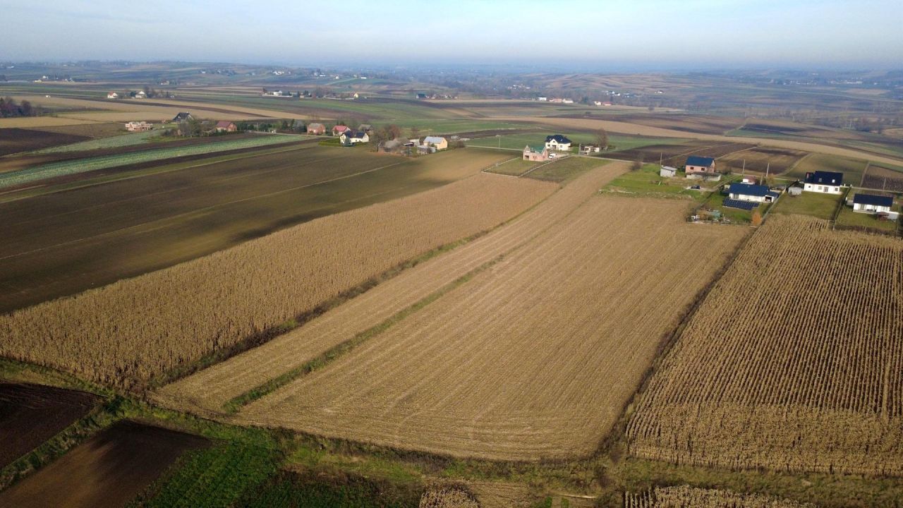 Działka rolna Gniazdowice. Zdjęcie 2