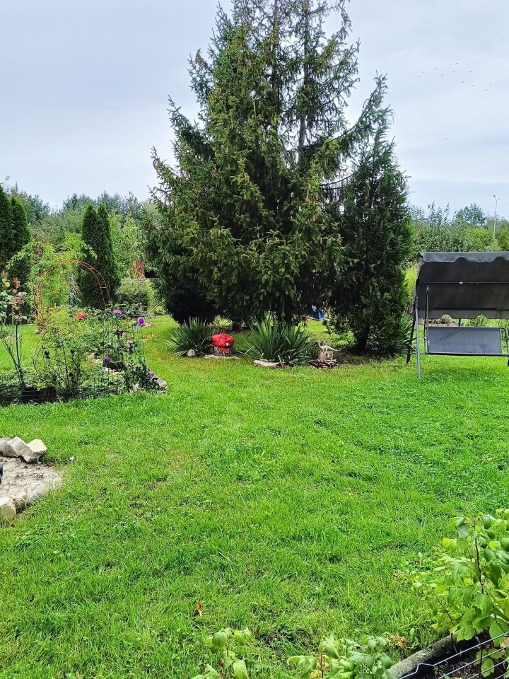 Działka rod Wrocław Psie Pole, ul. Bierutowska. Zdjęcie 2