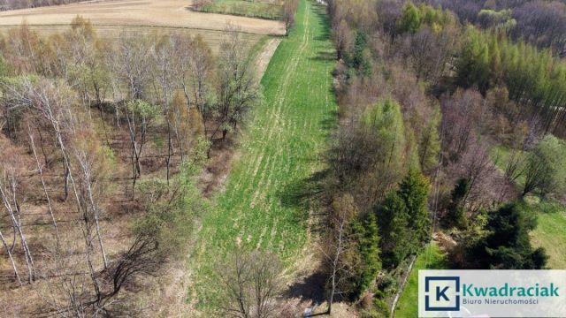 Działka rolna Lublica. Zdjęcie 5