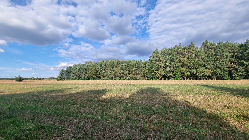 Działka budowlana Bądzyń, ul. ks. Brzóski. Zdjęcie 2