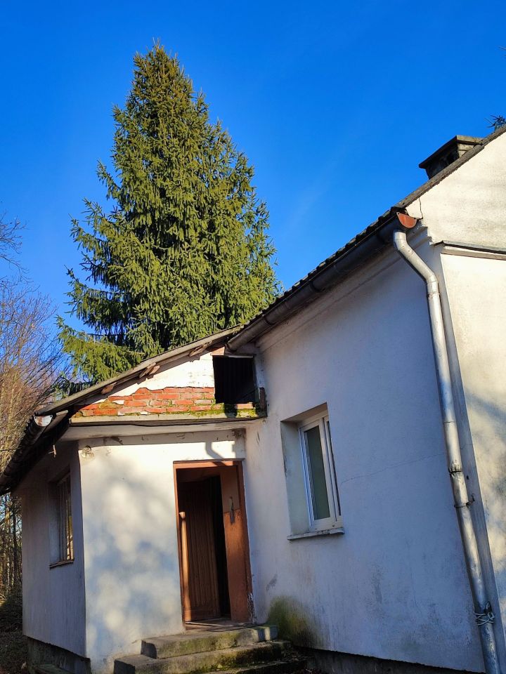 Działka siedliskowa Drohobyczka. Zdjęcie 5