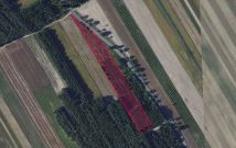 Działka rolna Czekarzewice Drugie. Zdjęcie 4