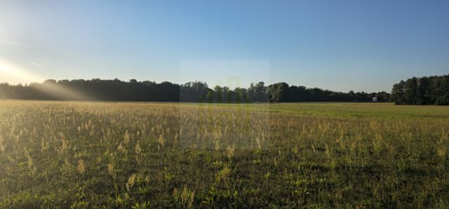 Działka budowlana Żółwin. Zdjęcie 6