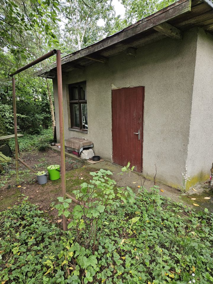 Działka rod Dolaszewo