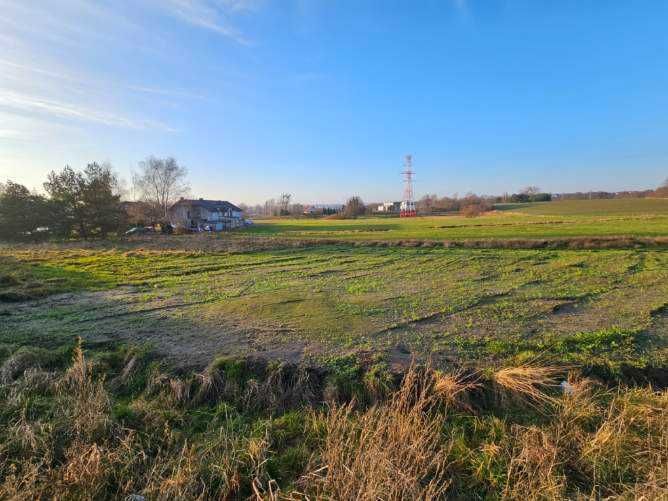 Działka rolna Otomino. Zdjęcie 8