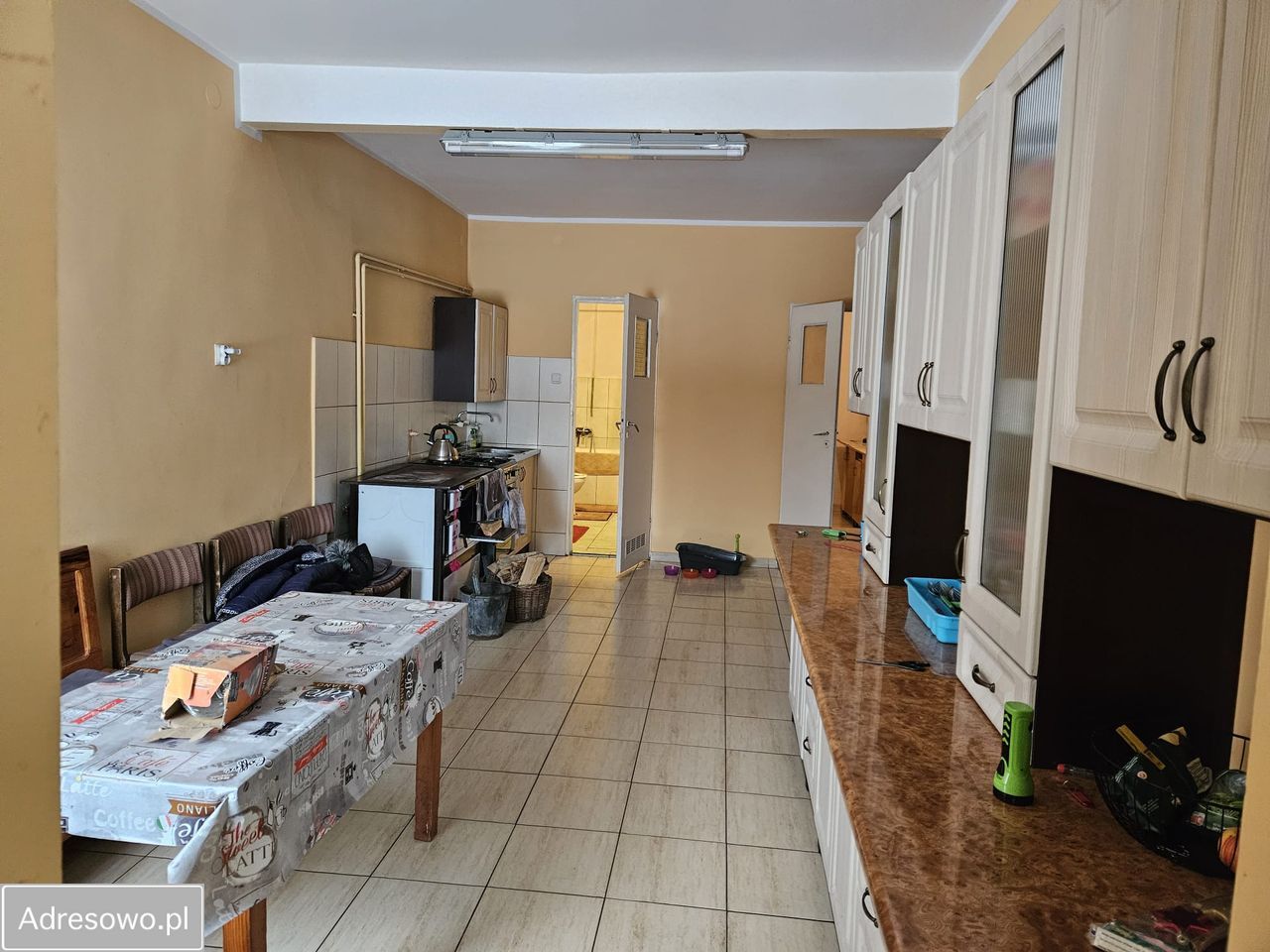 gospodarstwo Zielomyśl. Zdjęcie 17