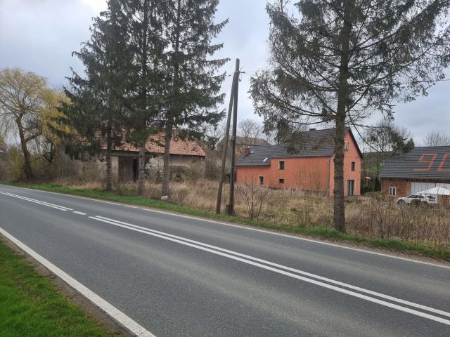 Działka siedliskowa Niedźwiednik. Zdjęcie 1