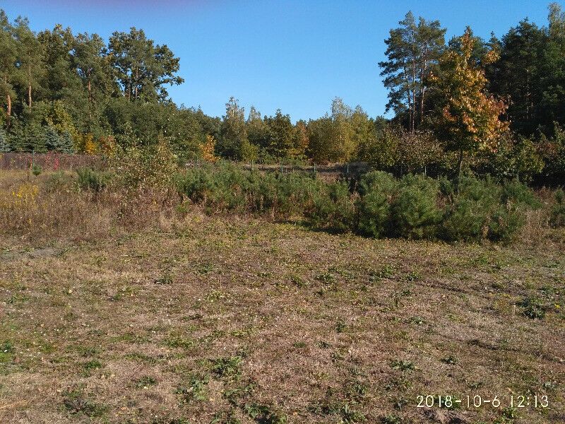 Działka budowlana Kocerany, ul. Widokowa. Zdjęcie 8