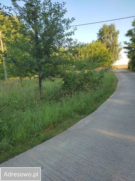 Działka budowlana Panieńszczyzna. Zdjęcie 2