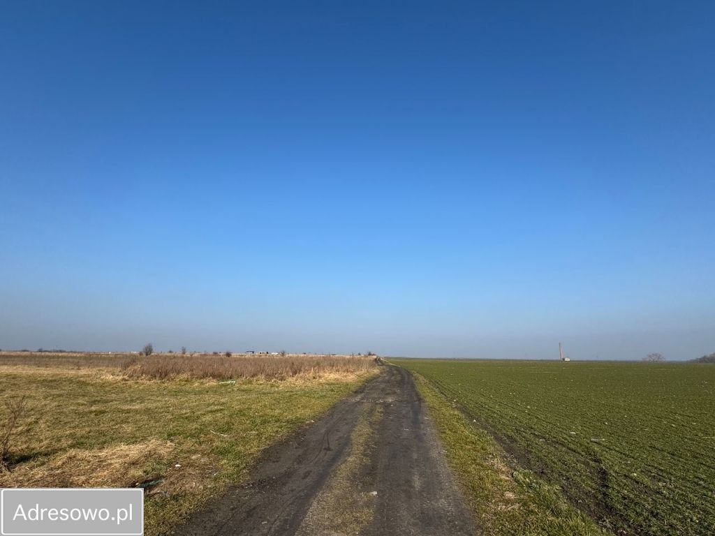 Działka budowlana Mazurowice, os. Kolonia. Zdjęcie 6