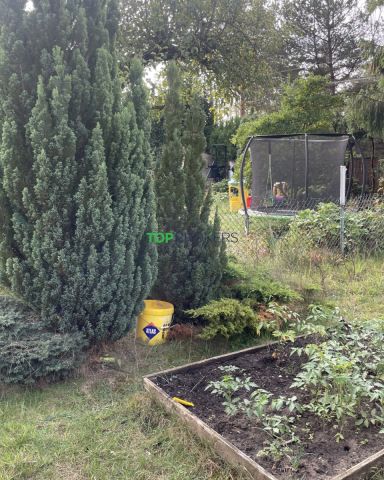 Działka rekreacyjna Kierszek. Zdjęcie 1