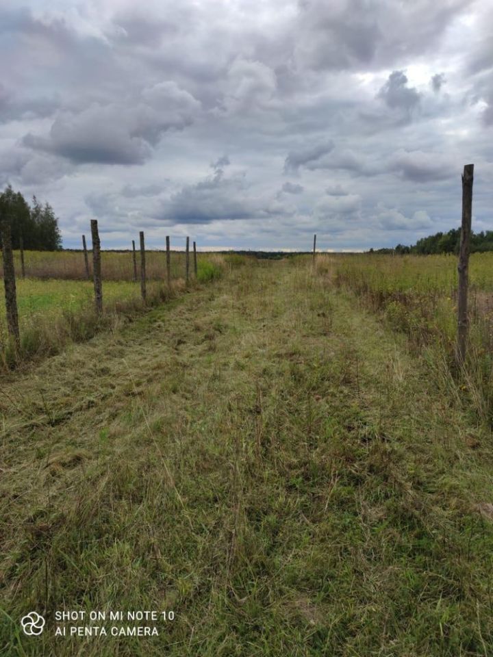 Działka budowlana Kosewo. Zdjęcie 2