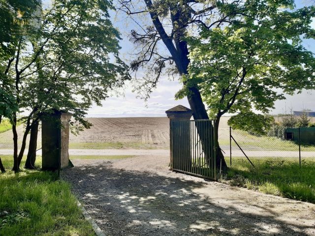 Działka budowlana Luciny. Zdjęcie 14