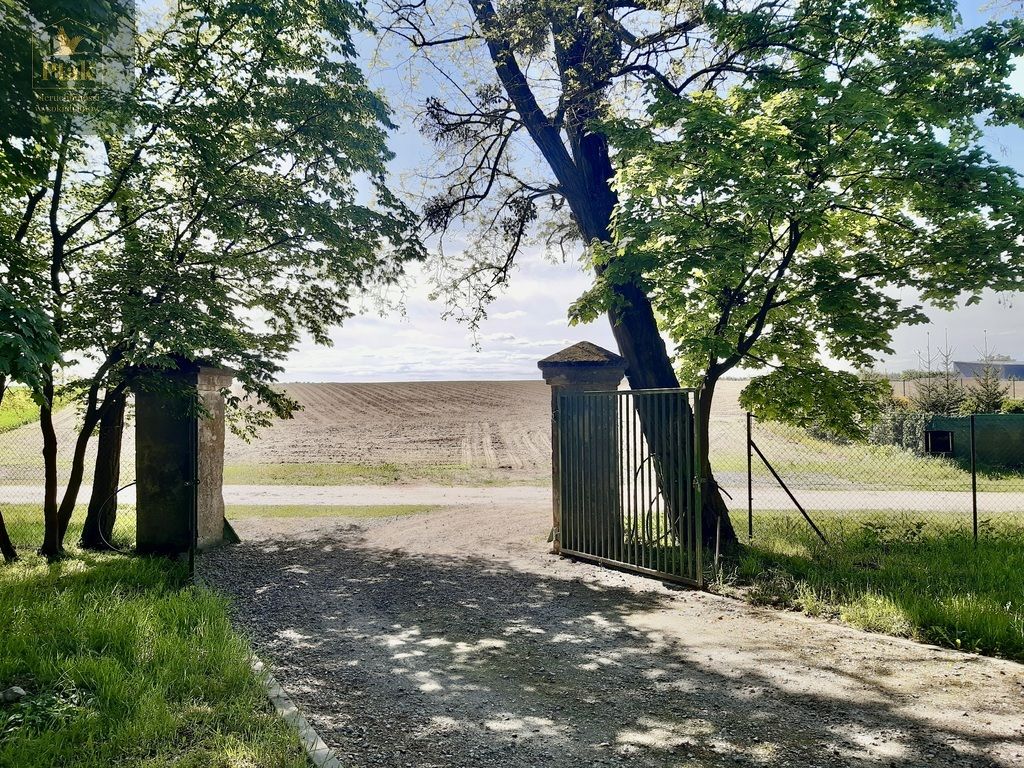 Działka budowlana Luciny. Zdjęcie 14