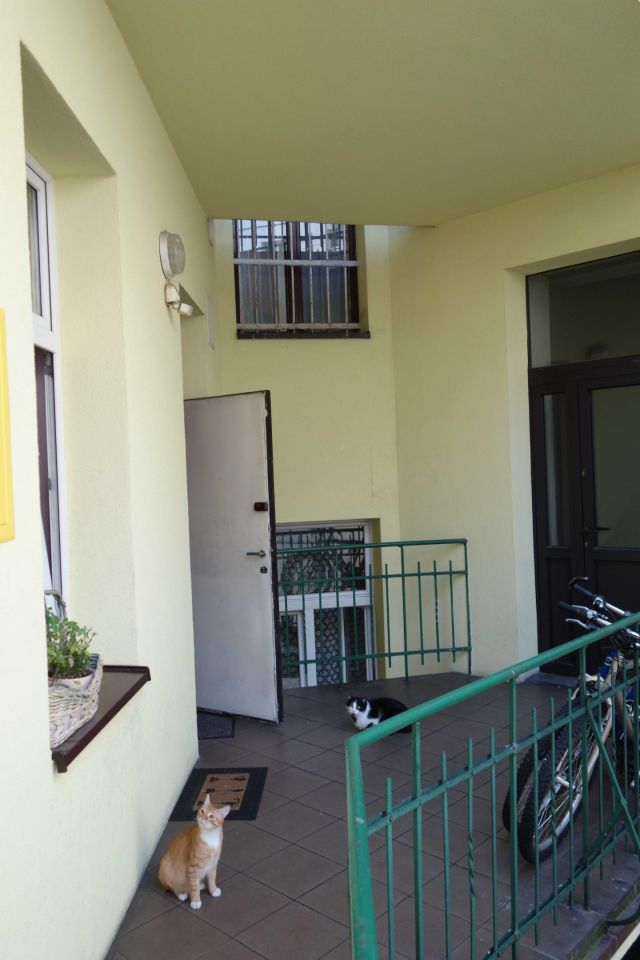 Mieszkanie 1-pokojowe Kraków Kazimierz, ul. Elizy Orzeszkowej. Zdjęcie 7