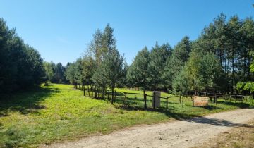 Działka rolno-budowlana Dębinki, ul. Cicha