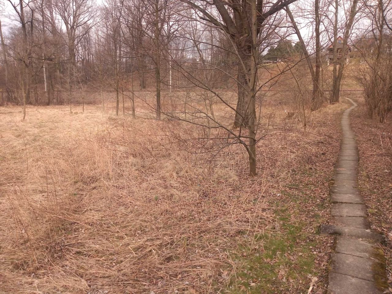 Działka rolna Bulowice. Zdjęcie 7