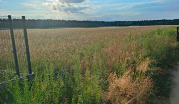 Działka budowlana Huta Bardzyńska