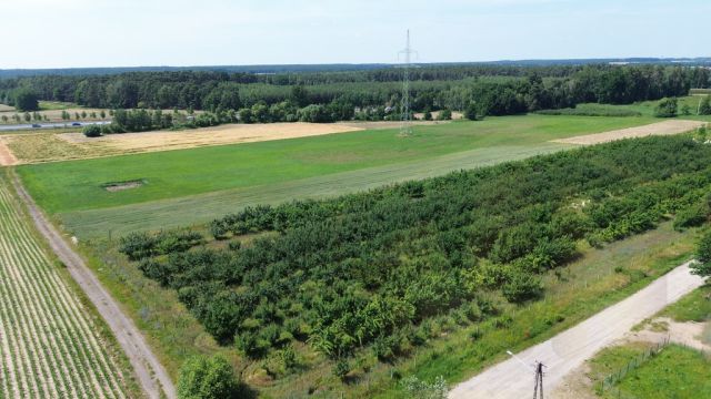 Działka budowlana Mórkowo. Zdjęcie 2