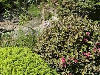 dom wolnostojący, 4 pokoje Bielsko-Biała Lipnik, Władysława Kiernika. Zdjęcie 136