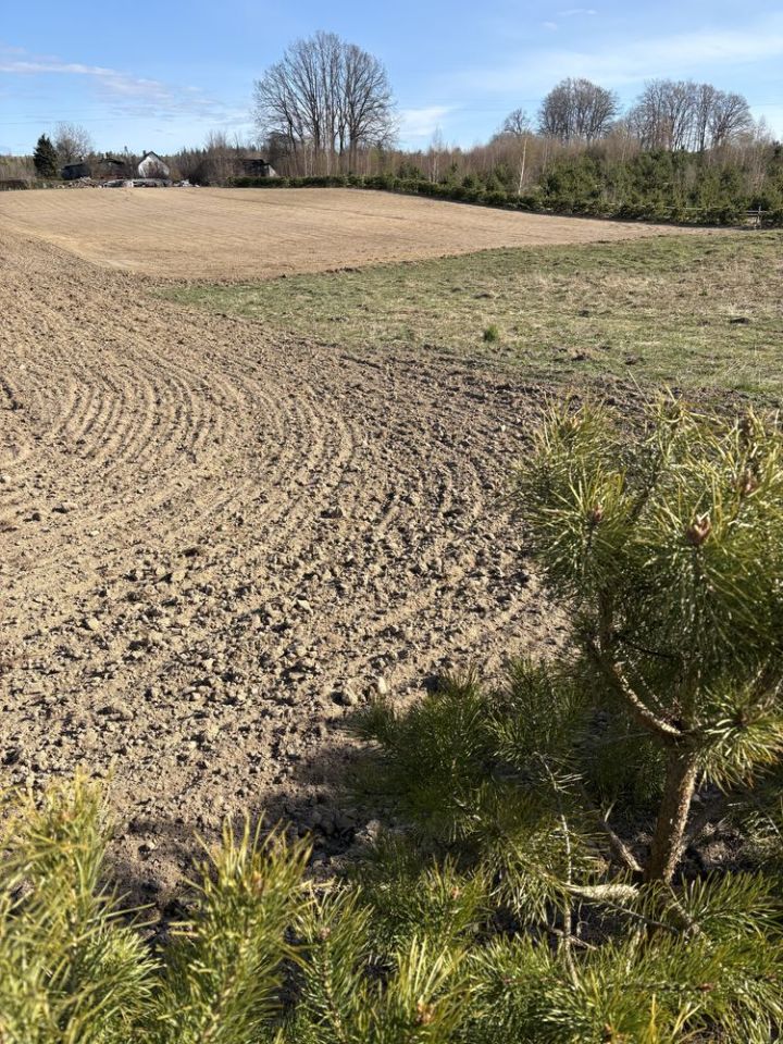 Działka budowlana Grabowiec, ul. Koszarowa. Zdjęcie 5