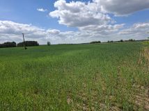 Działka rolno-budowlana Białaszewo-Kolonia, Białaszewo kolonia. Zdjęcie 1