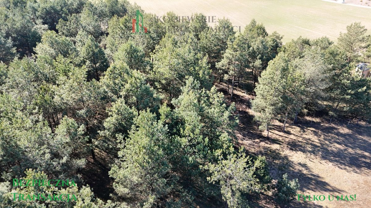 Działka budowlana Stara Kiszewa. Zdjęcie 9