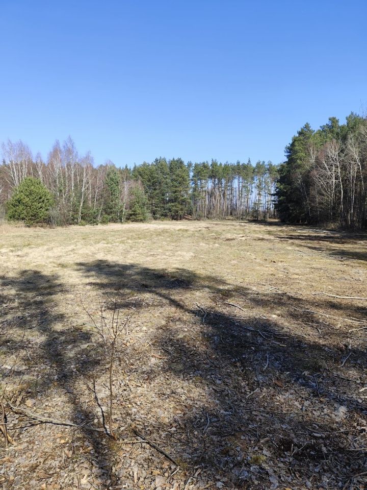 Działka rolna Reduchów-Kolonia. Zdjęcie 6