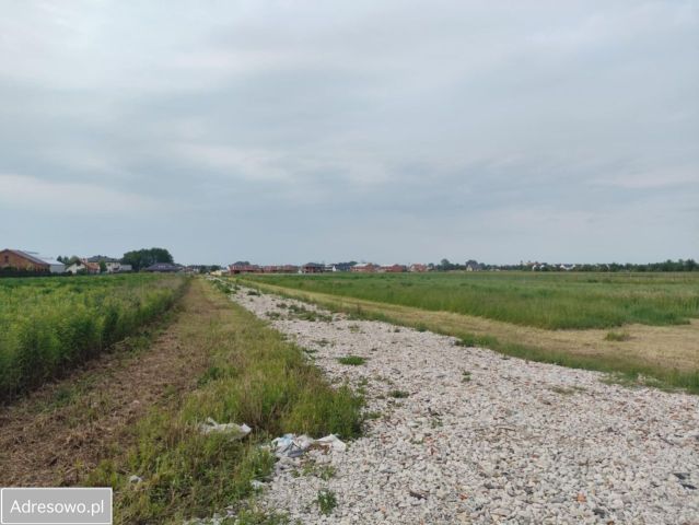 Działka budowlana Podolszyn Nowy, ul. Cynamonowa. Zdjęcie 1