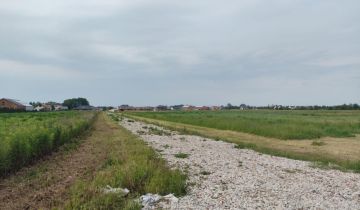 Działka budowlana Podolszyn Nowy, ul. Cynamonowa