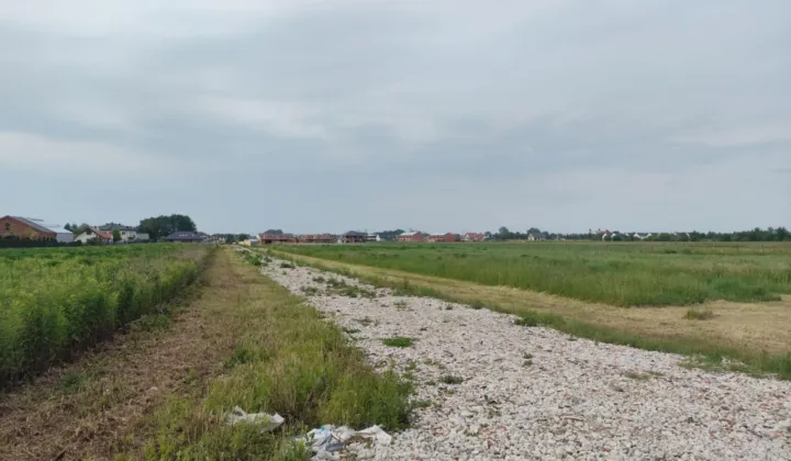 Działka budowlana Podolszyn Nowy, ul. Cynamonowa