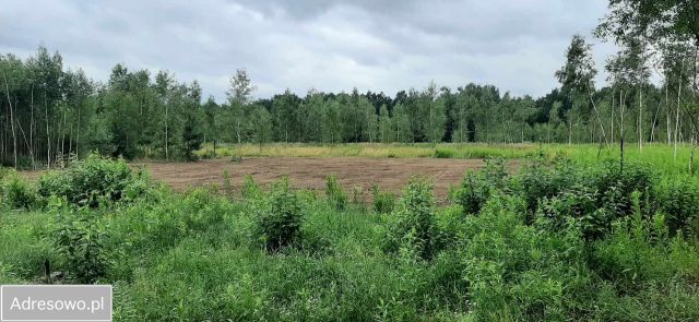 Działka budowlana Błędowo. Zdjęcie 1