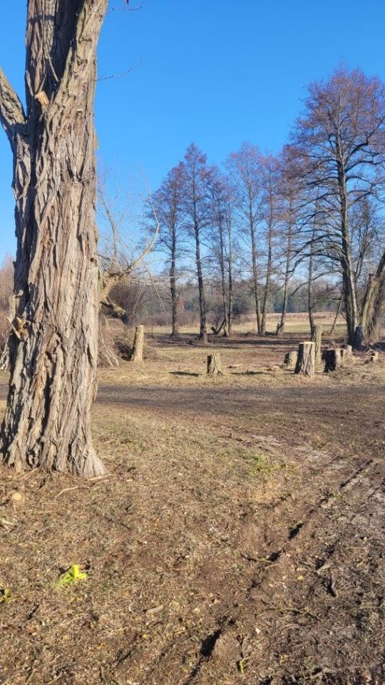 Działka budowlana Helenka. Zdjęcie 3