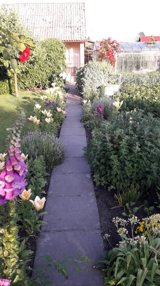 Działka rod Człuchów, ul. Koszalińska. Zdjęcie 8