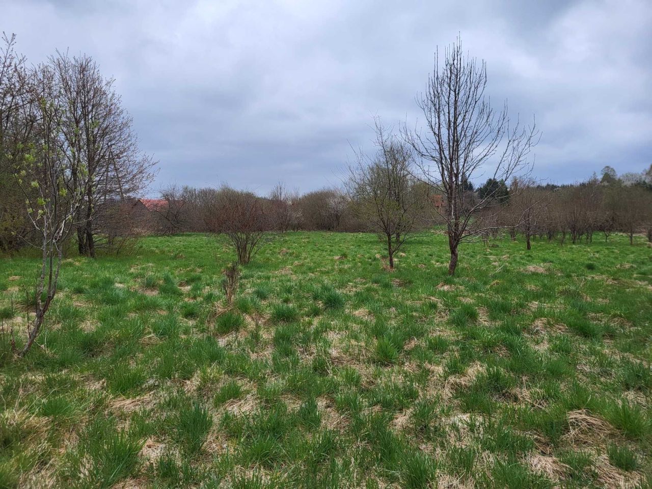 Działka siedliskowa Tomaryny. Zdjęcie 6