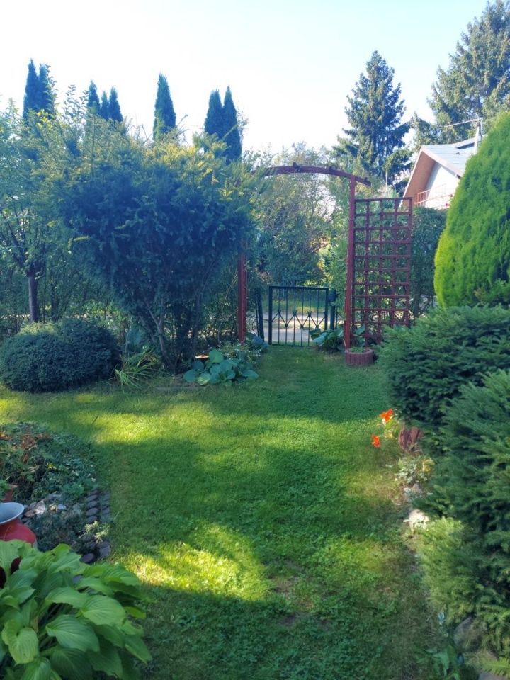 Działka rod Łódź Bałuty. Zdjęcie 6
