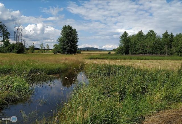 Działka leśna Strawczyn. Zdjęcie 1