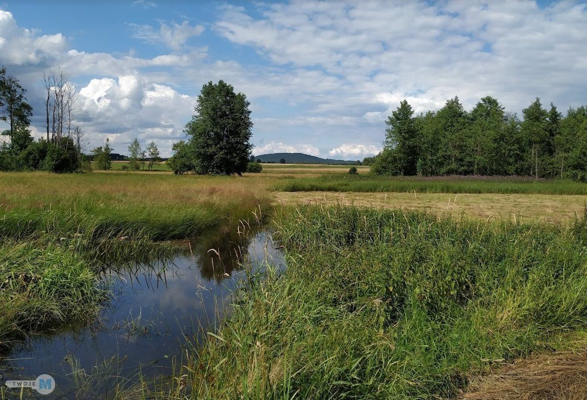 Działka leśna Strawczyn. Zdjęcie 1
