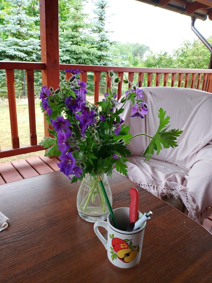 Działka rekreacyjna Martiany. Zdjęcie 2