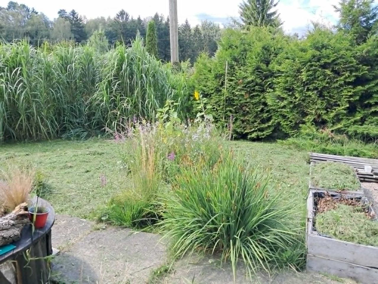 Działka rod Olsztyn Zatorze. Zdjęcie 3